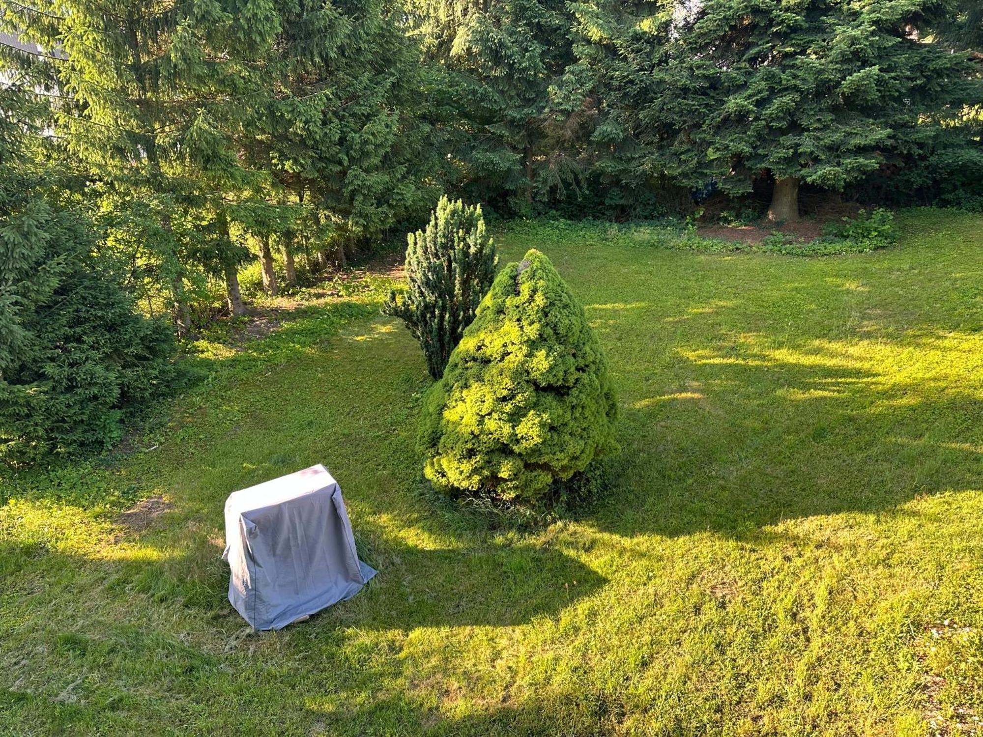 Am